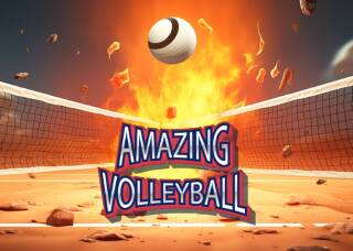 Amazing Volleyball