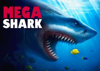 Mega Shark