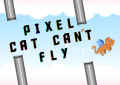 Pixel Cat Can't Fly